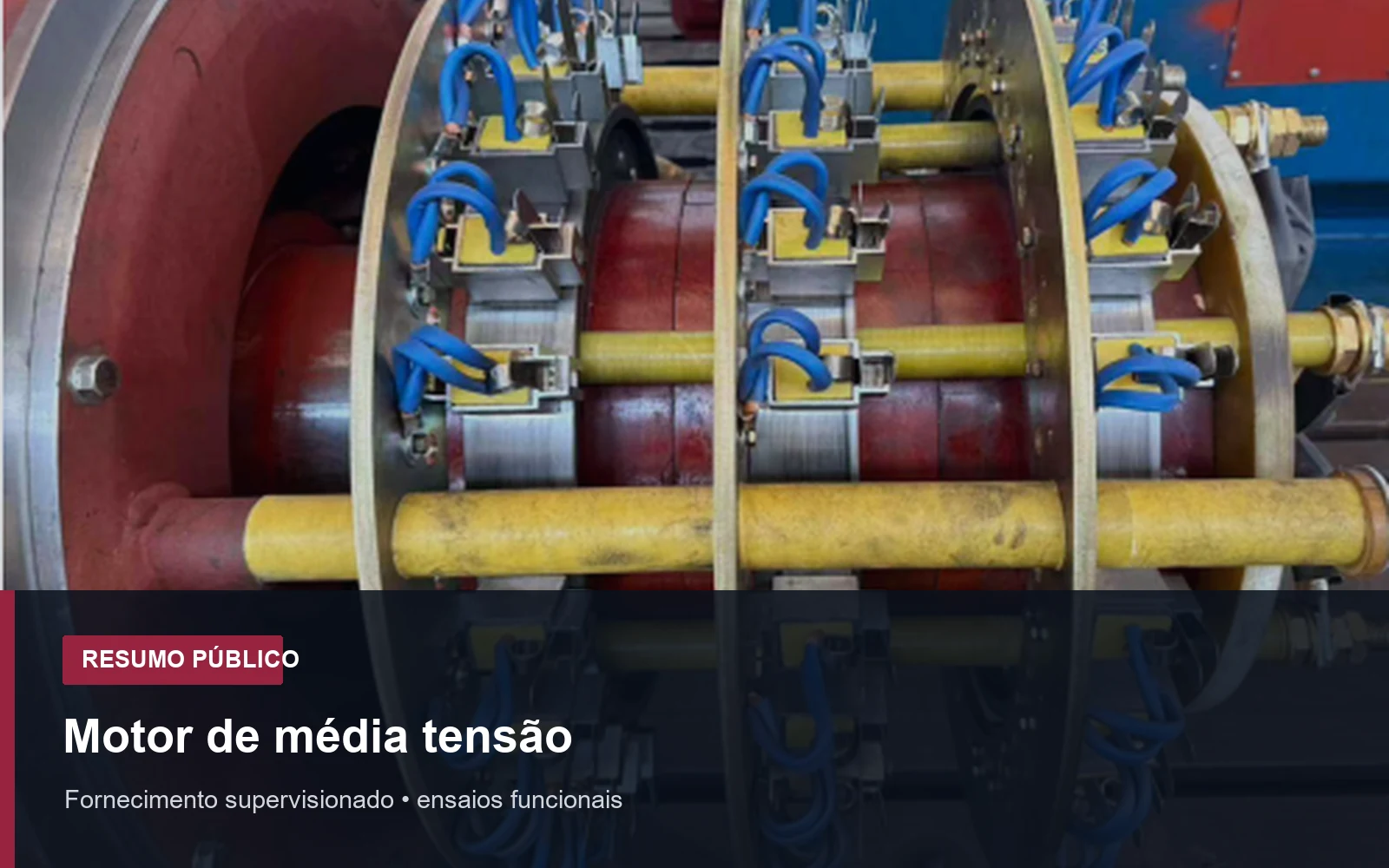 Registro público desidentificado de inspeção supervisionada de um motor de média tensão